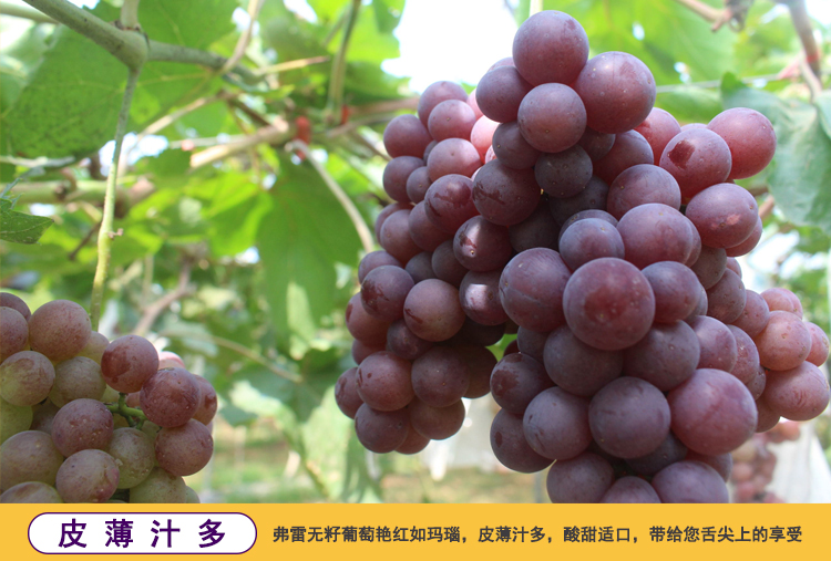 简介1.jpg