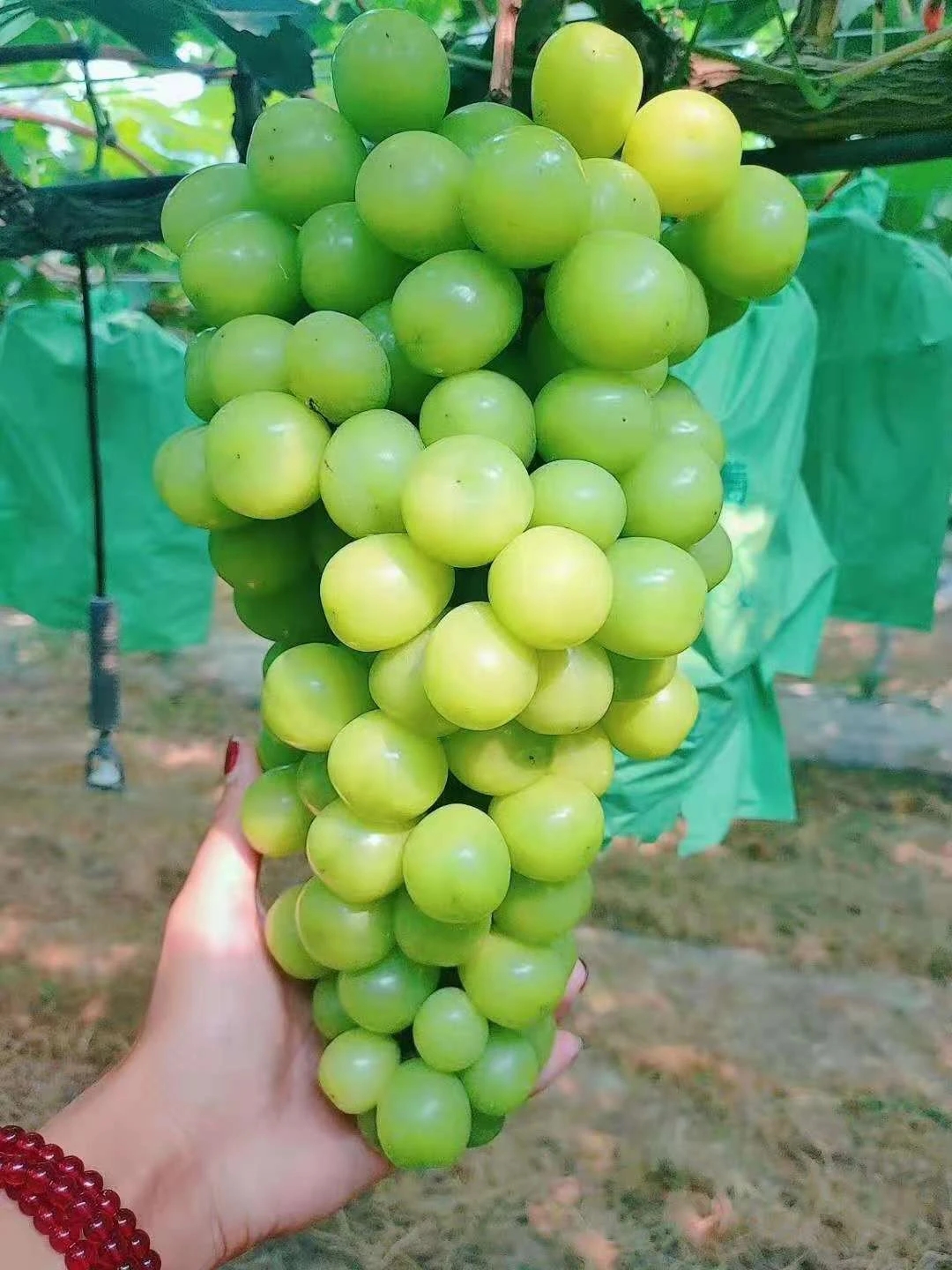 微信图片_20210831200150.jpg