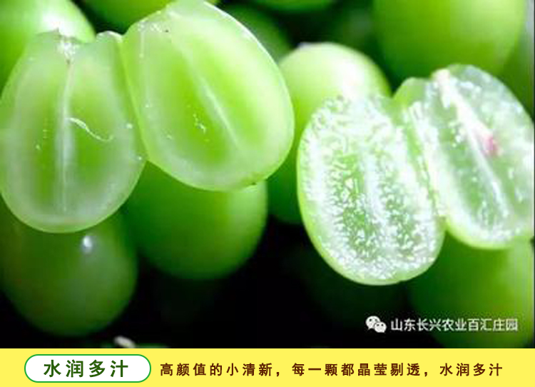 简介1.jpg