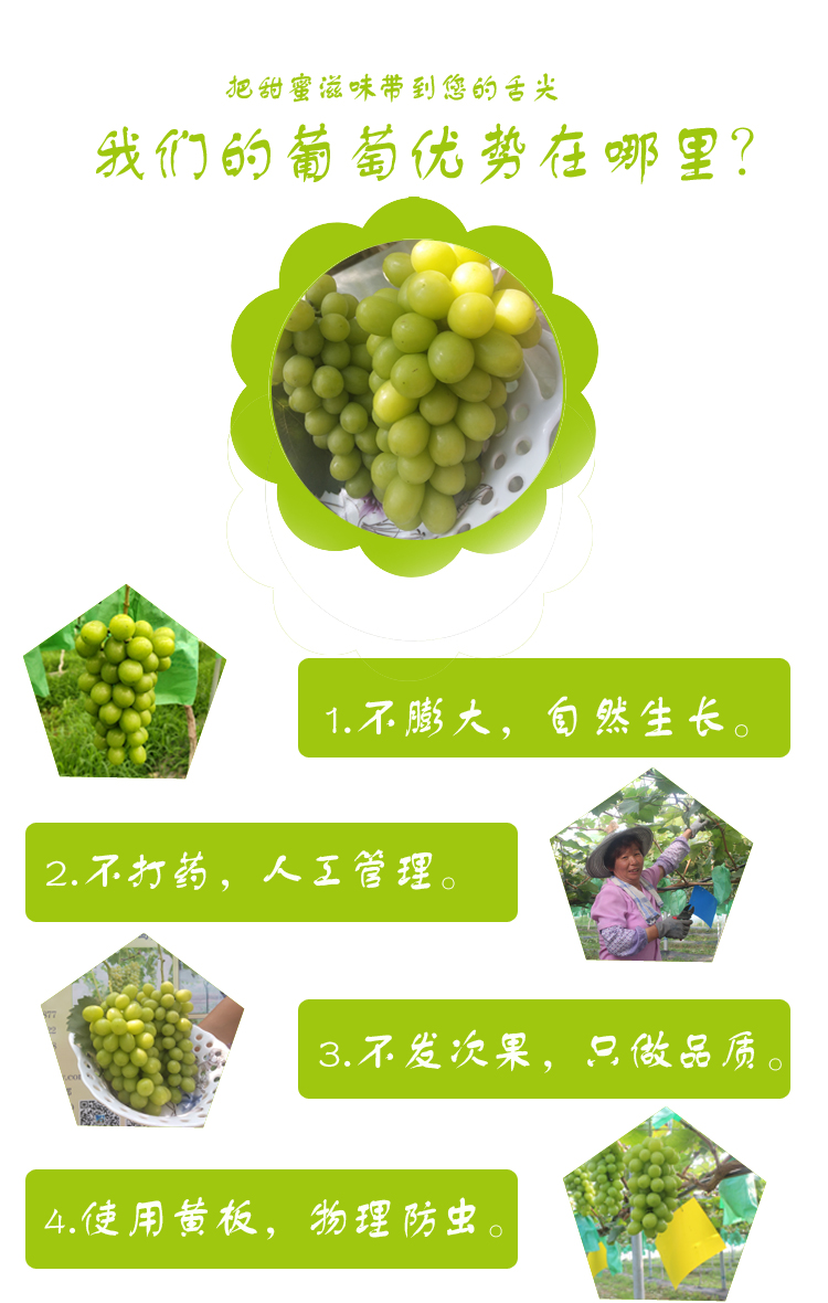afb1382312350da59ad18d3b90c8cea.jpg
