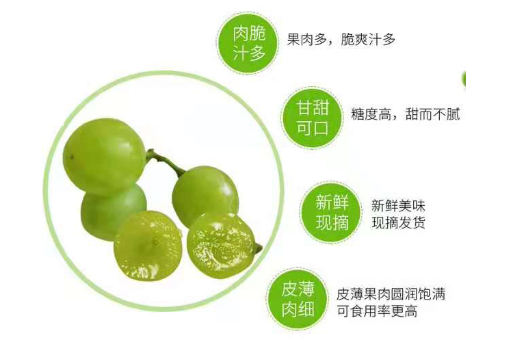 简介2.jpg