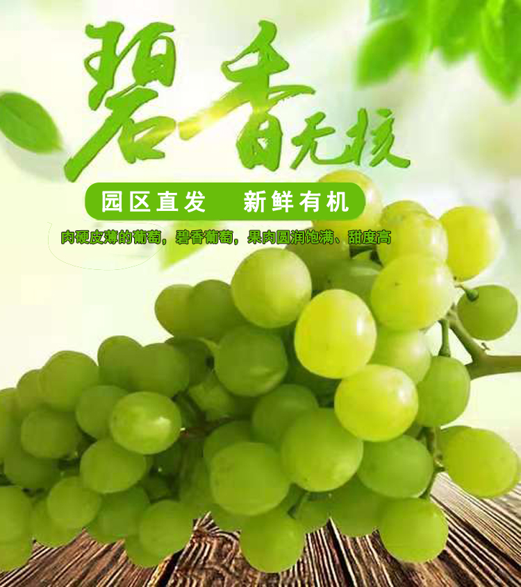 简介1.jpg