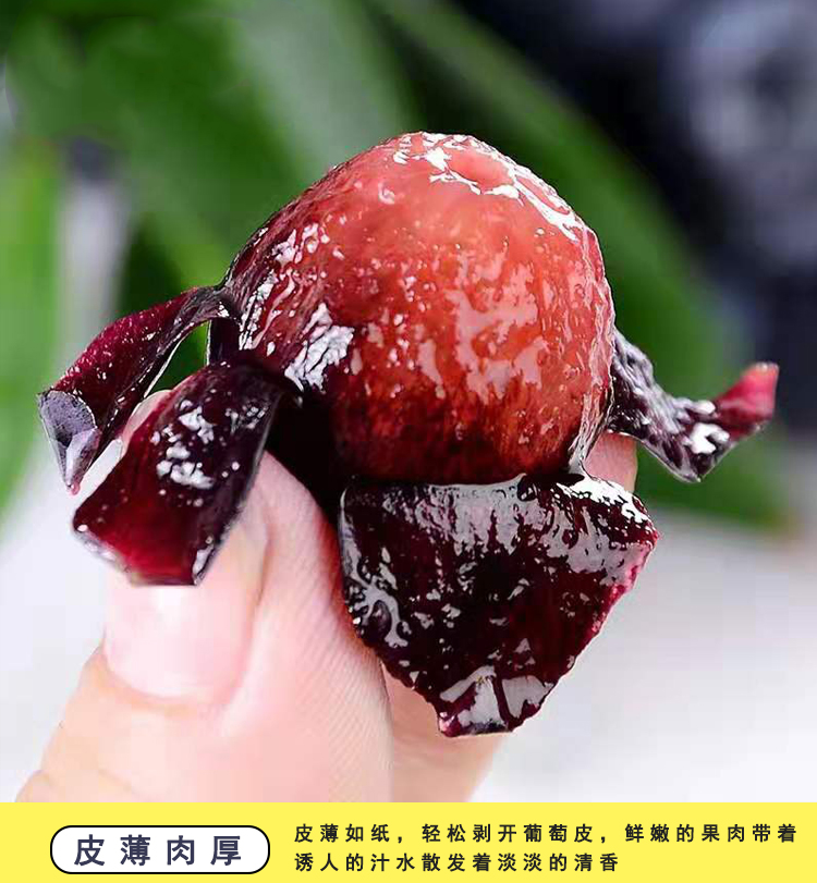 简介3.jpg