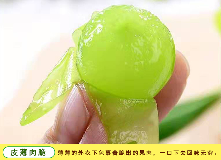 简介2.jpg