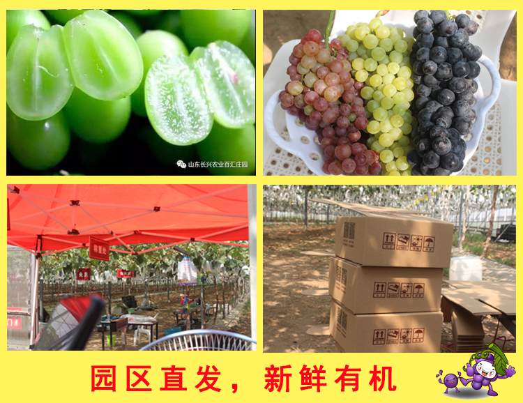 简介3.jpg
