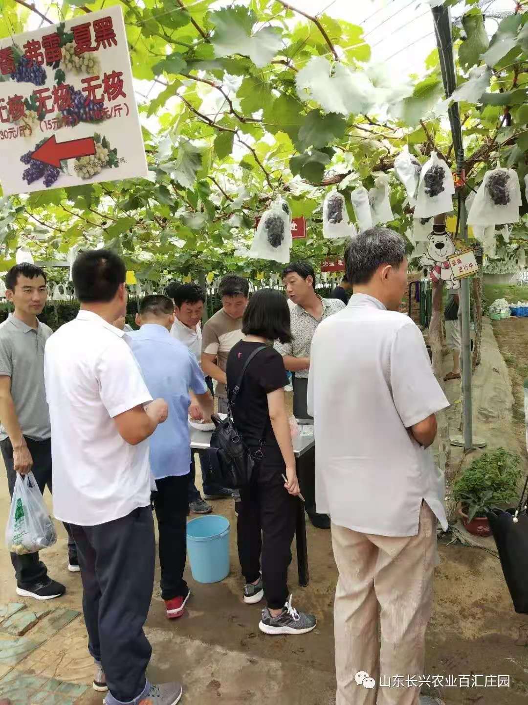 微信图片_20210531174655.jpg