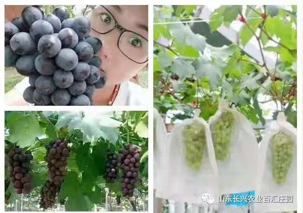 微信图片_20210531175218.jpg