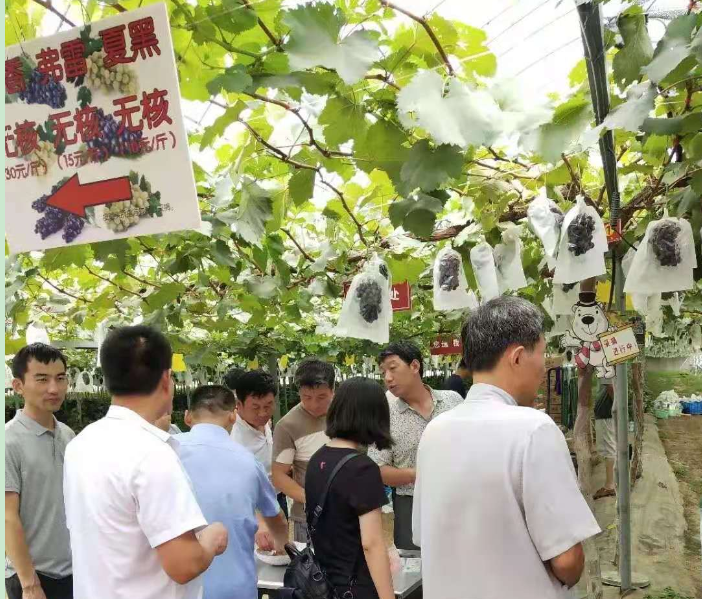 微信图片_20210804103459.png